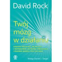 Twój mózg w działaniu David Rock